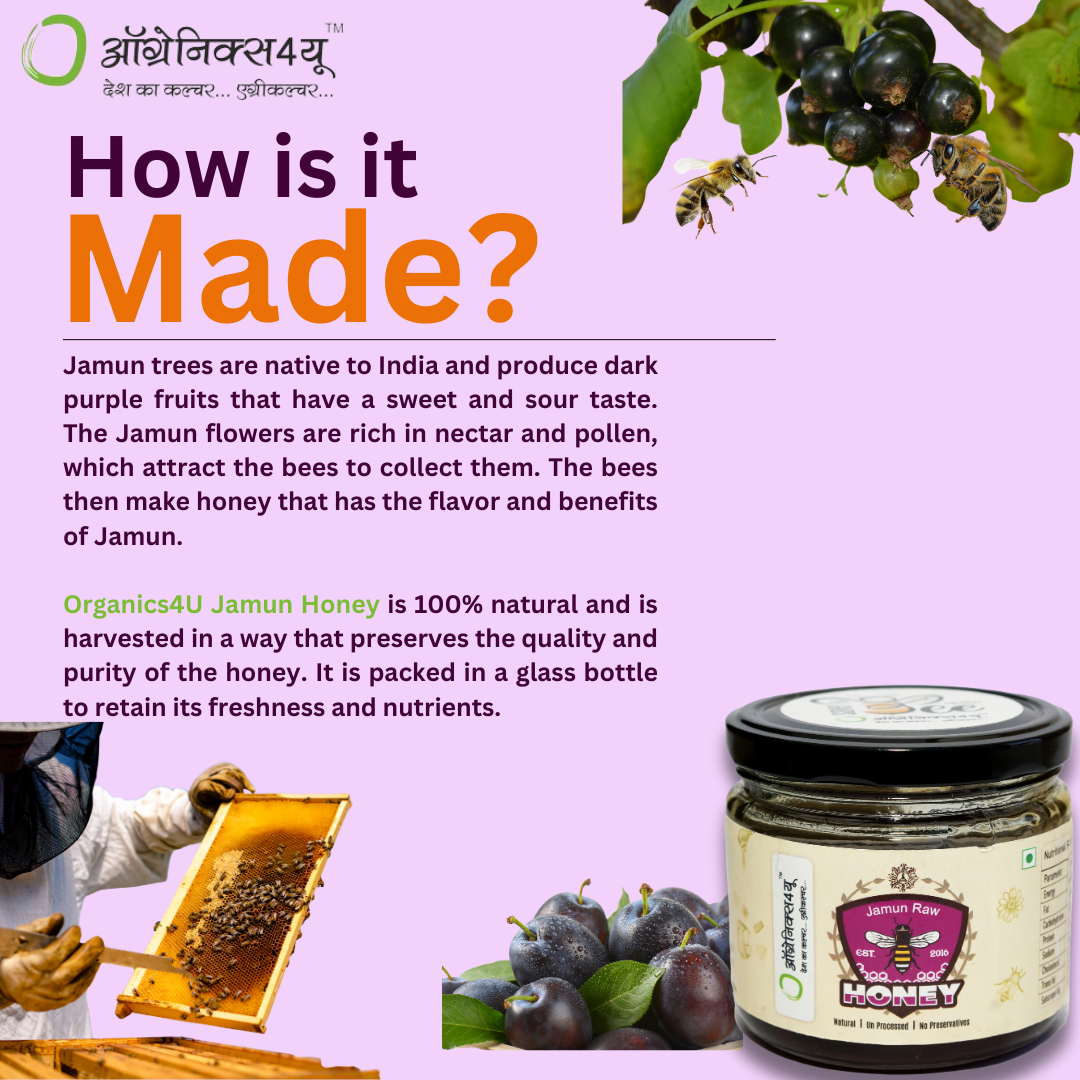 Jamun Honey - 100% Pure - Raw Honey In A Glass Bottle - Sugar Substitute - Natural Honey