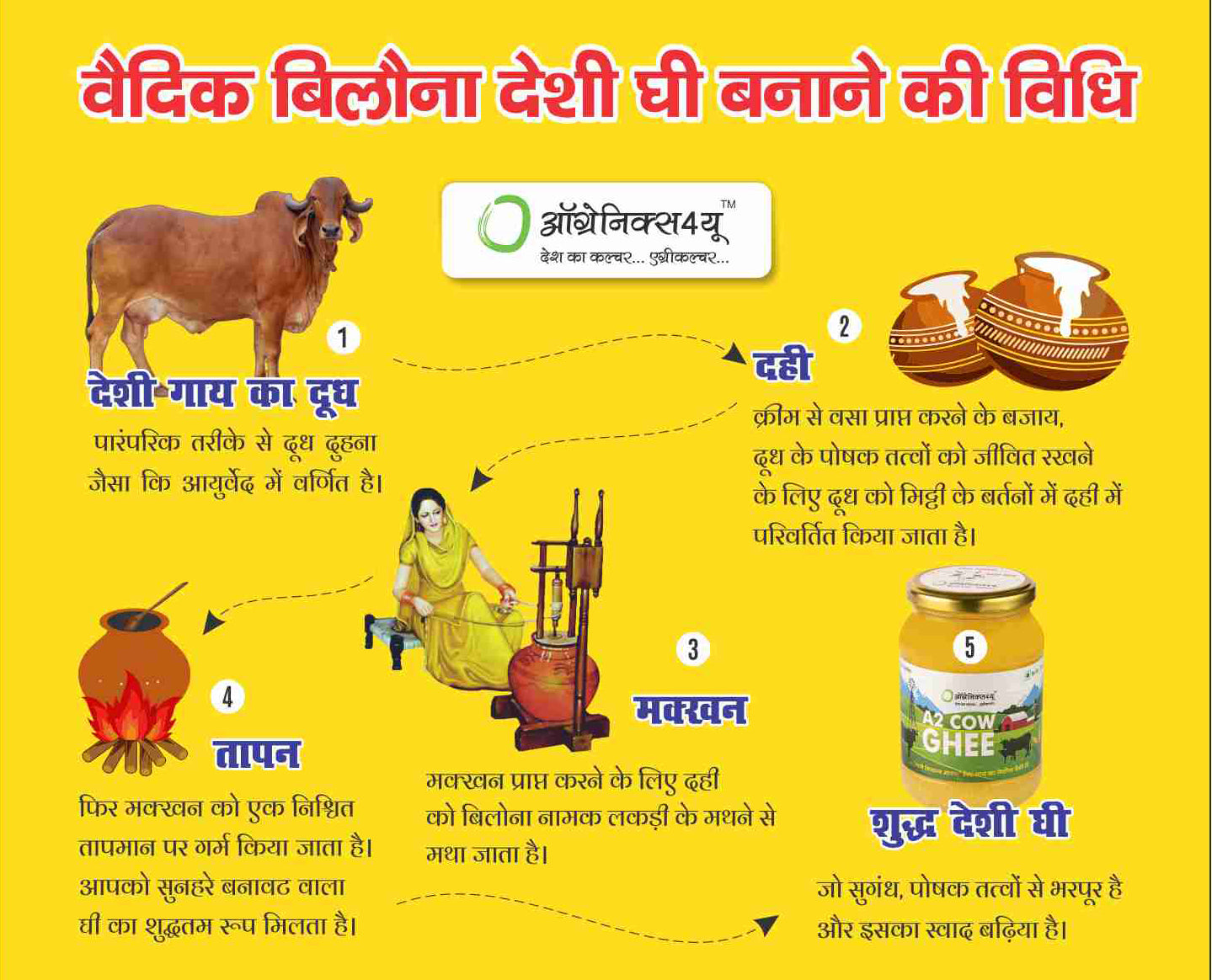 A2 Cow Ghee - Vedic Bilona Method - Traditional Curd Churned - Pure, Natural & Healthy - Glass Jar