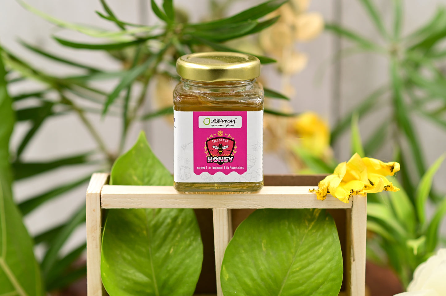 Appetizing Lychee Raw Honey by Organics4U - 100% Natural & Organic from Fresh Lychee Flowers - Unprocessed, Unfiltered, Unpasteurized Lychee Honey