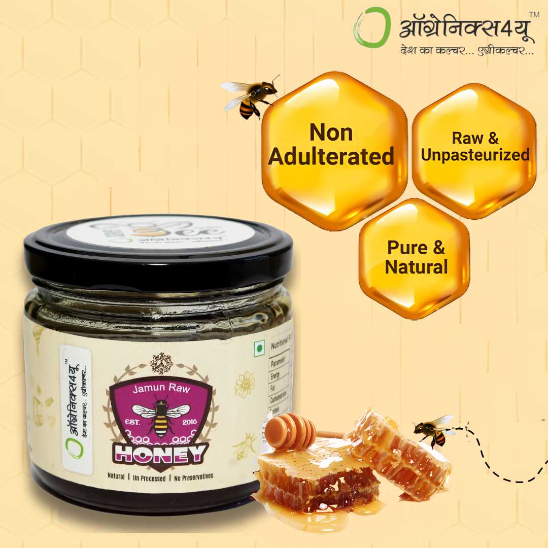 Jamun Honey - 100% Pure - Raw Honey In A Glass Bottle - Sugar Substitute - Natural Honey