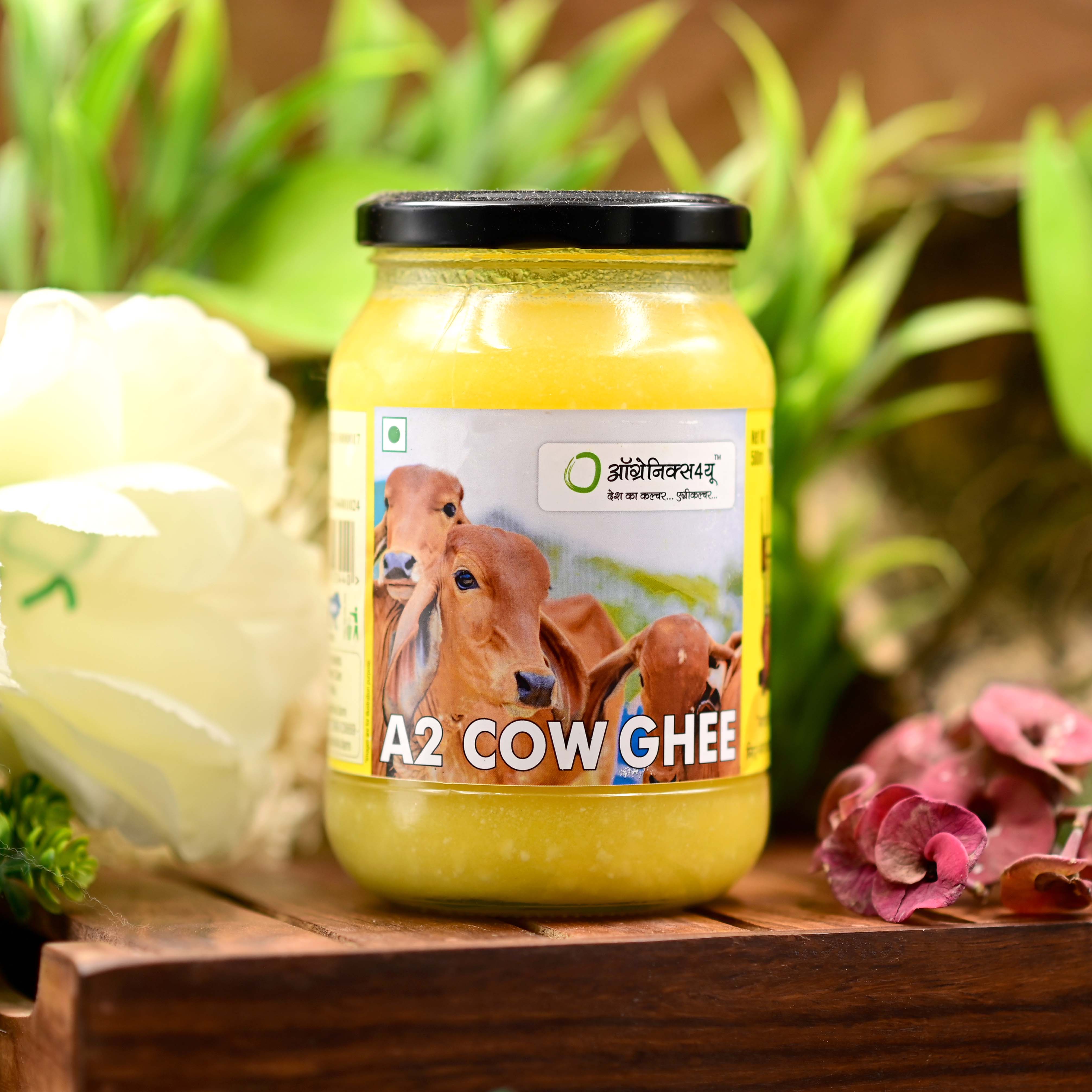 Pure A2 Cow Ghee Pure & Authentic in Glass Jar - Organics4u