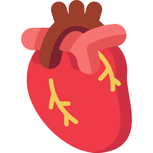 heart